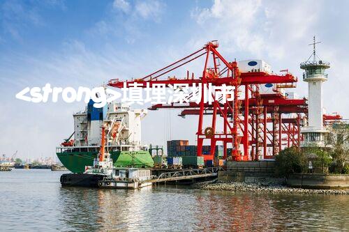 <strong>填埋深圳市危險(xiǎn)廢物處理站有限公司化工設(shè)施安全解體：如何高效處理復(fù)雜工業(yè)遺留問題？</strong>